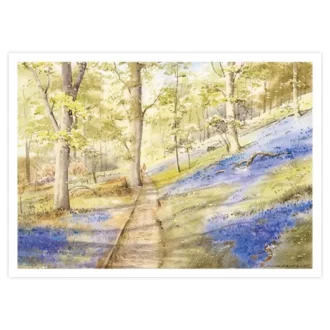 Image of a card that depicts Bluebells along the River Lune.