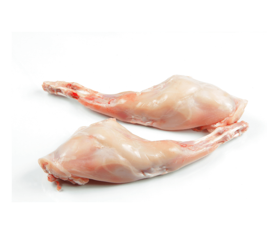 picture of rabbit