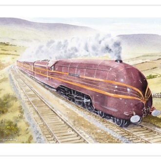 picture of Duchess of Hamilton