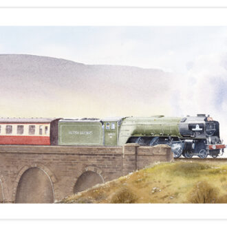 Picture of tornado leaving Ribblehead Viaduct.